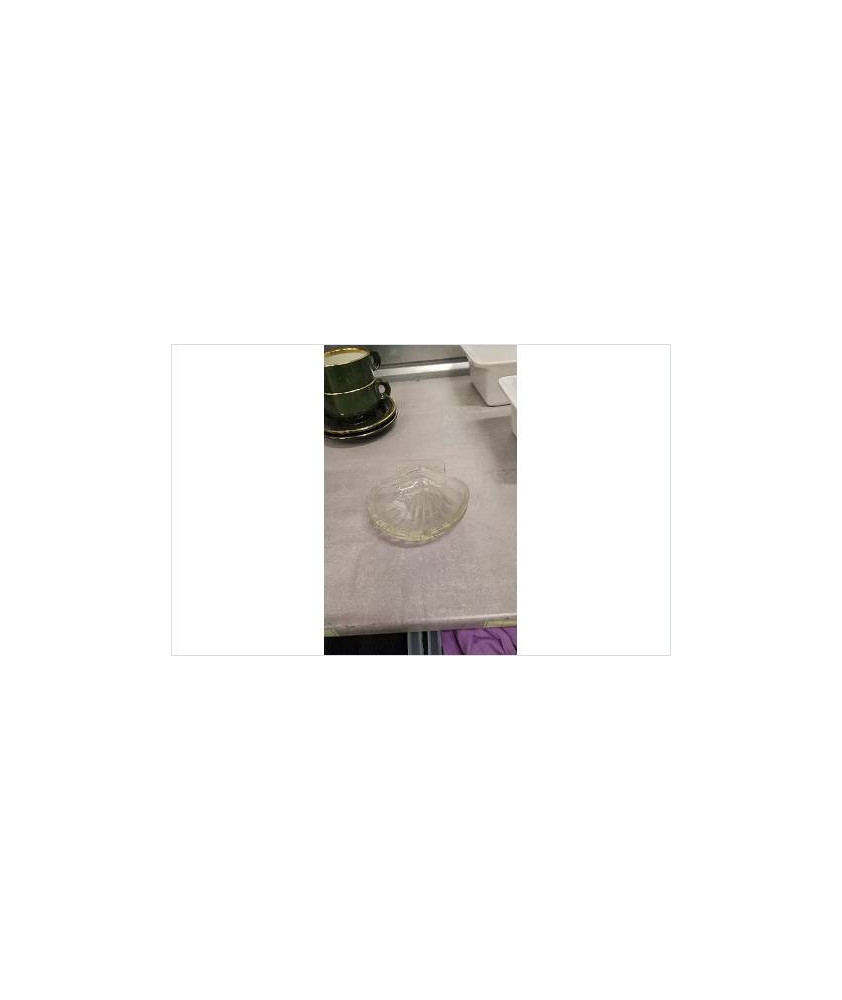 COQUILLE VERRE PYREX LE LOT