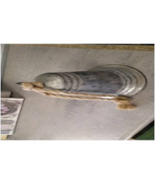 CLOCHE 