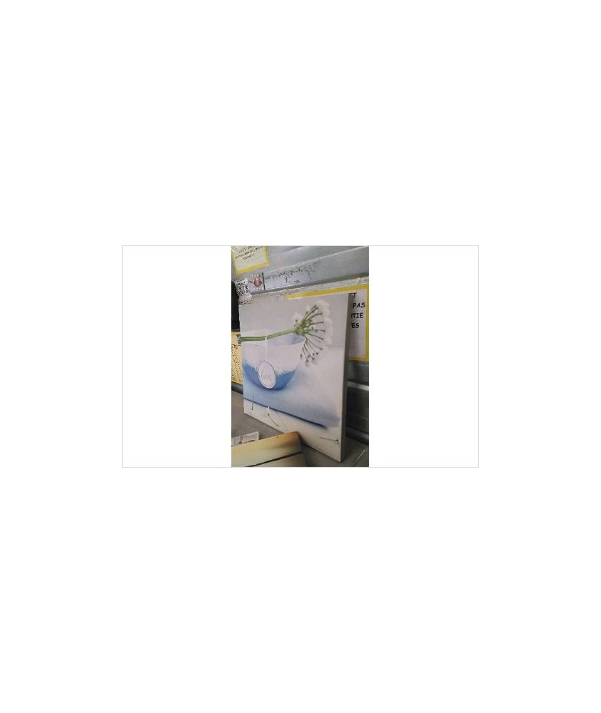 TOILE LOVE