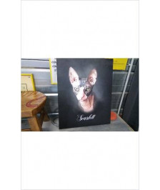 TOILE CHAT 
