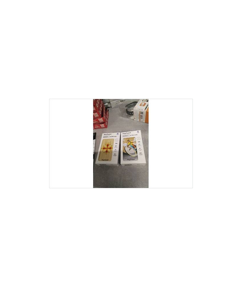 BATTERIE EXTERNE BAMBOU