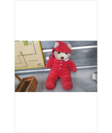 OURS PELUCHE