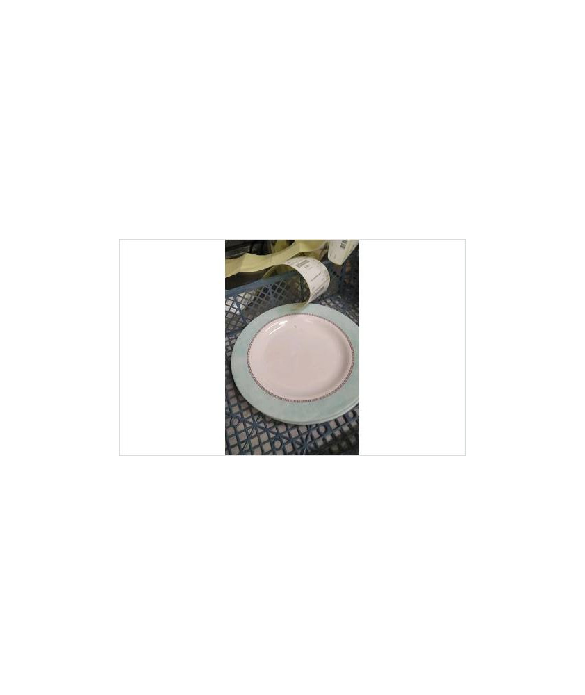 ASSIETTE ARCOPAL X2