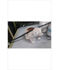 POT PM CHIEN