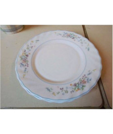 LOT DE 6 ASSIETTES 