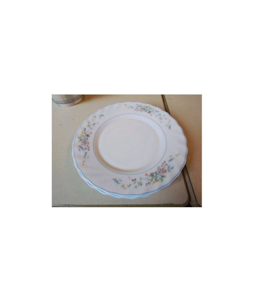 LOT DE 6 ASSIETTES 