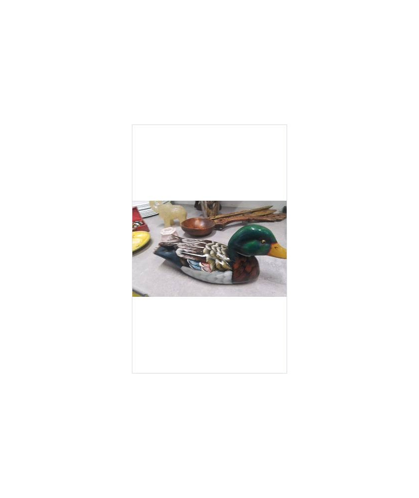 DECO CANARD BOIS