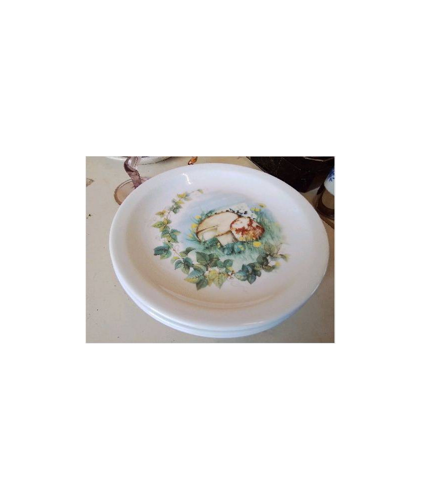 LOT DE 4 ASSIETTES A FROMAGE