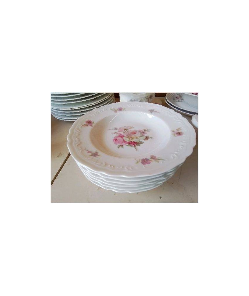 LOT DE 6 ASSIETES EN PORCELAINE 