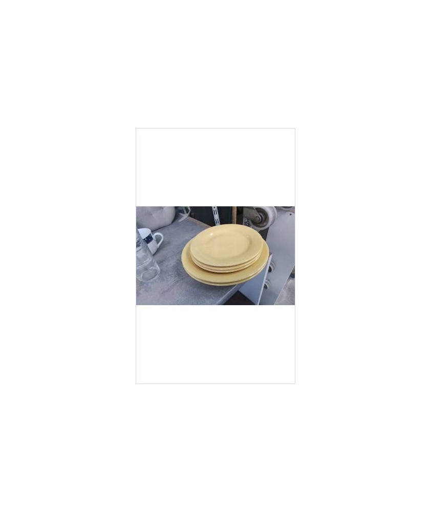 ASSIETTE JAUNE LE LOT