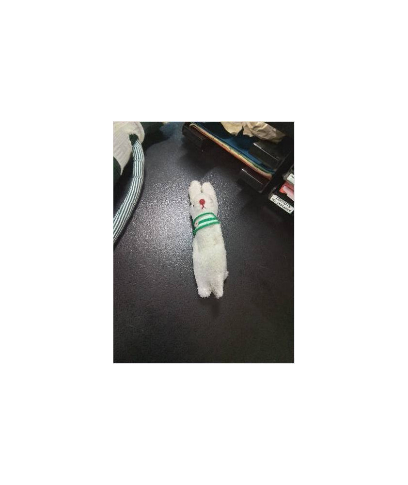 LAPIN BLANC 