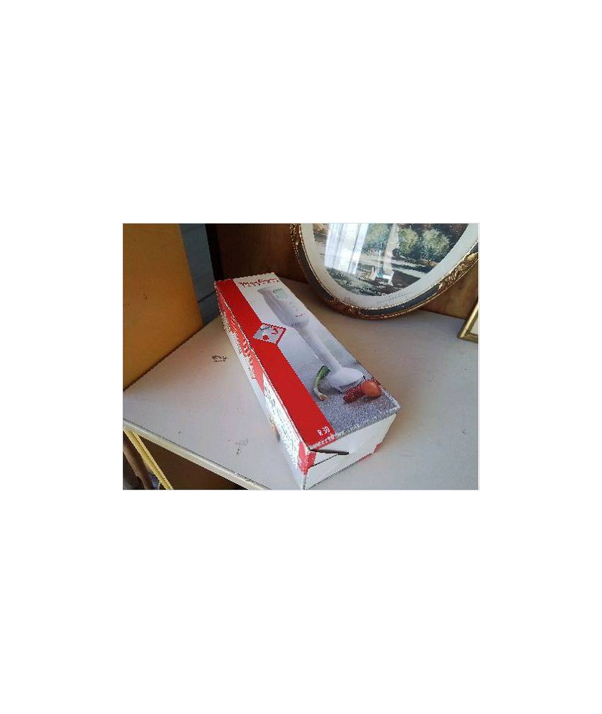 PIED A SOUPE MOULINEX TURBOMIX