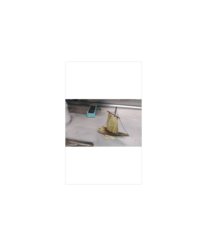 DECO BATEAU EN CORNE 