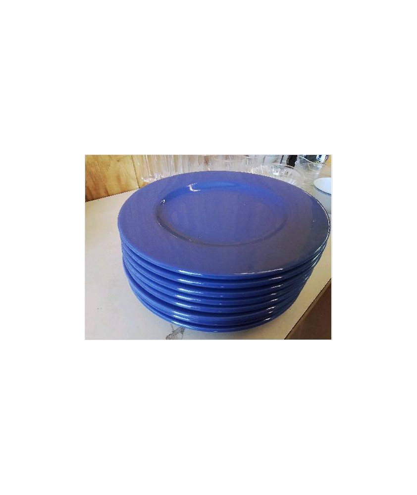 LOT DE 8 ASSIETTES BLEUES 