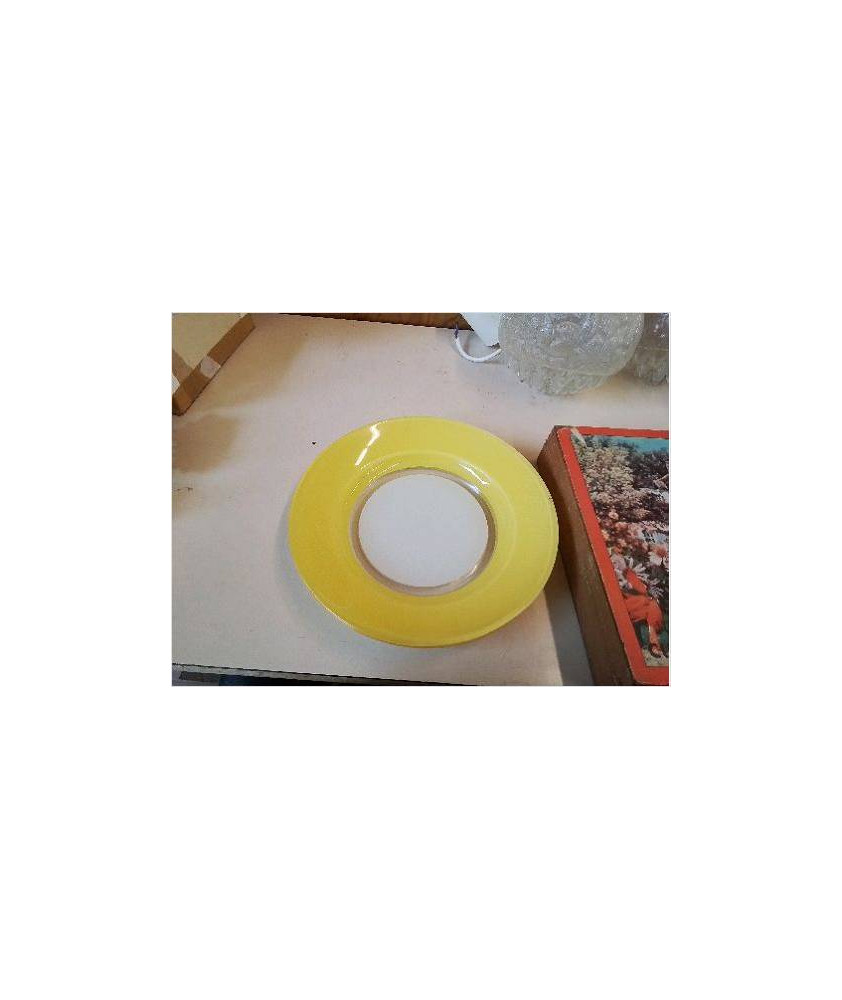 DUO ASSIETTES JAUNE 