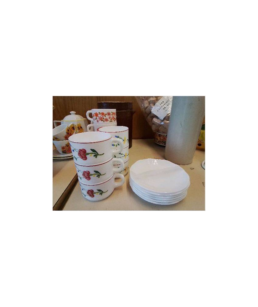 LOT DE 6 TASSES ET SOUCOUPES ARCOPAL 