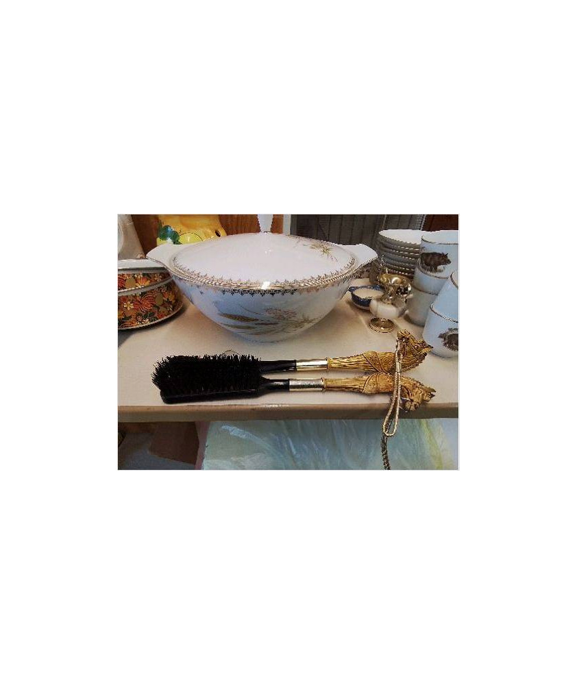 DUO BROSSE ET CHAUSSE PIED TETE DE CHEVAL 
