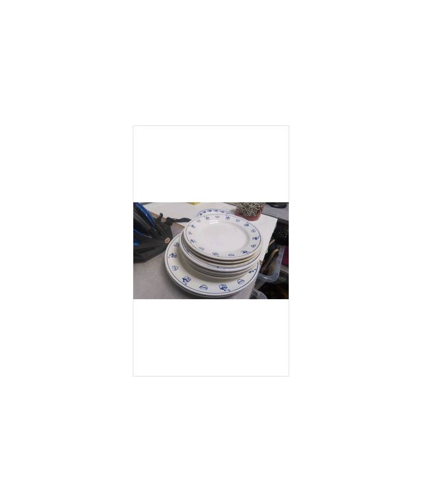 ASSIETTES DECOR BLEU LE LOT 