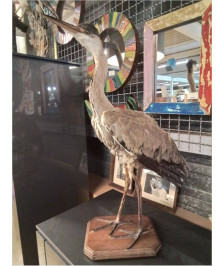 DECO HERON