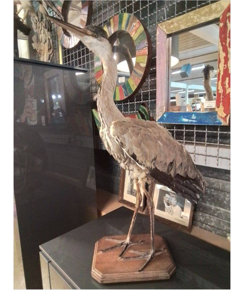 DECO HERON