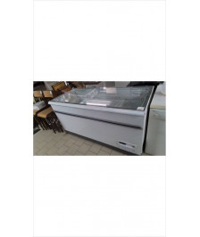 CONGELATEUR BAHUT PROFESSIONNEL