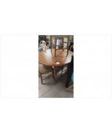 TABLE A VOLETS +2 ALLONGES