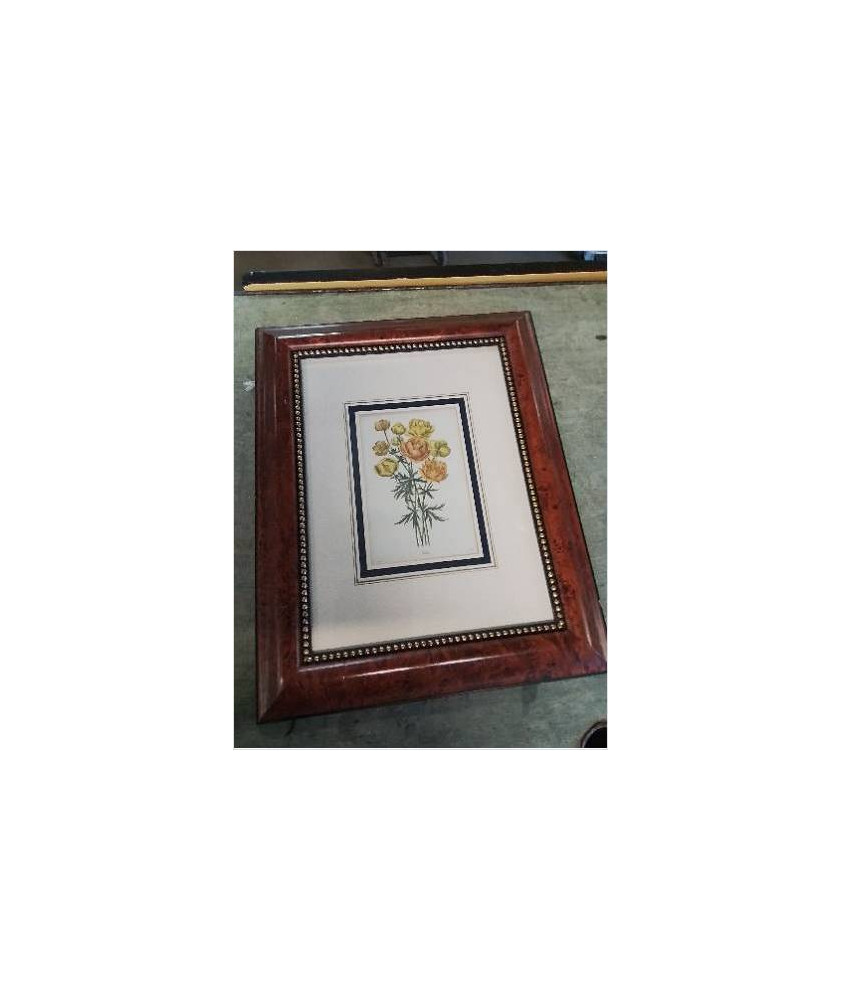 GRAVURE FLEURS TROBLIUS