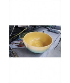 PLAT CREUX JAUNE VERT