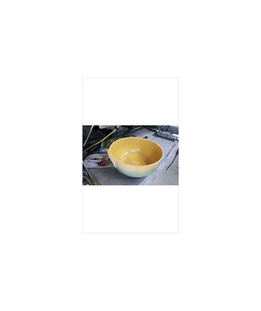 PLAT CREUX JAUNE VERT