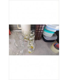 VERRE FLEUR X5 
