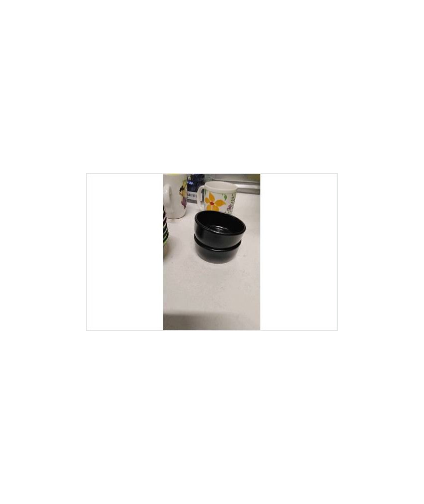 RAMEQUINS NOIRS PM X2 
