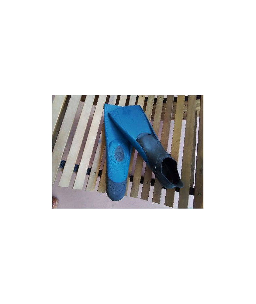 PALME 