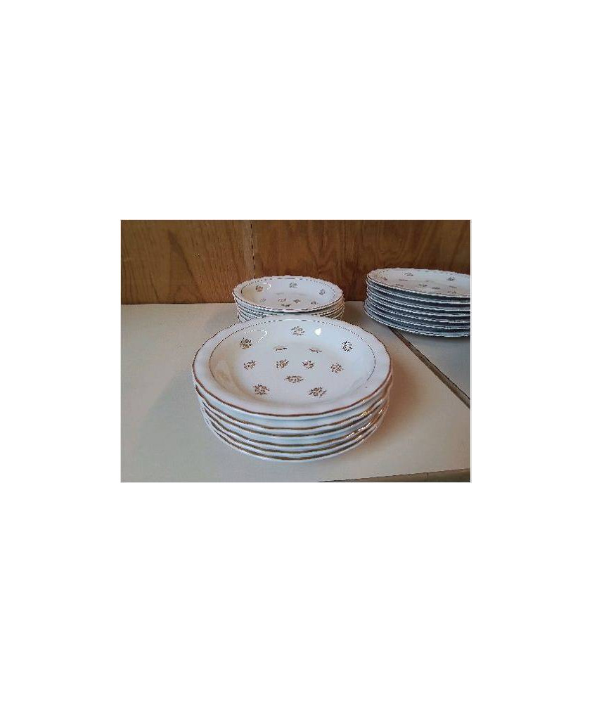 ASSIETTE CREUSE EN PORCELAINE AVEC MOTIF FLORAL BORDURE DORÉ 