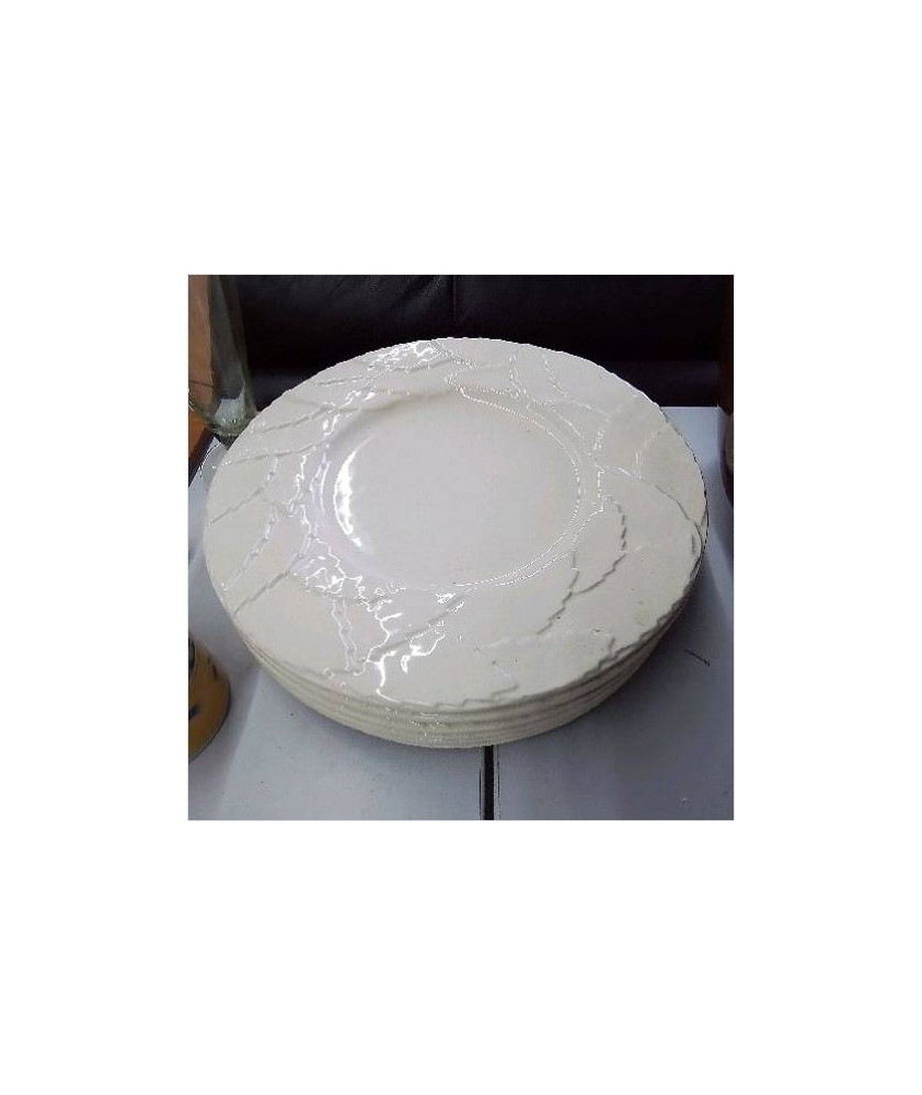 SERIE DE SOUS ASSIETTES X6