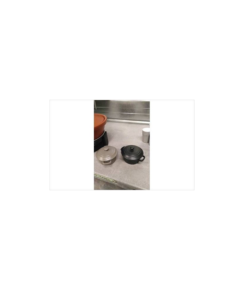 COCOTTE PM