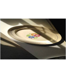 PLAT OVALE LUNEVILLE 
