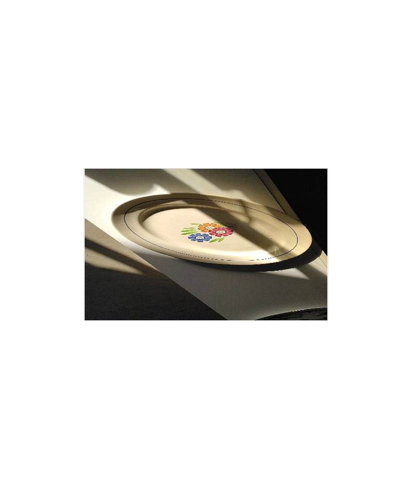 PLAT OVALE LUNEVILLE 