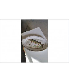 PLAT POISSON 