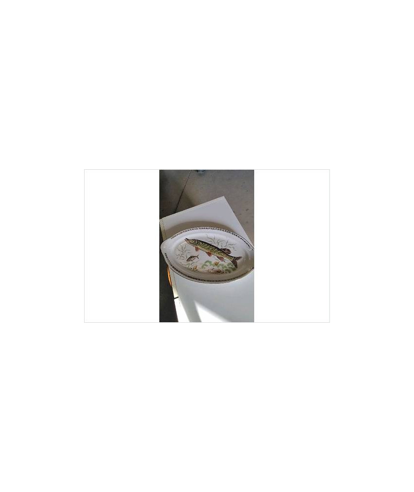 PLAT POISSON 