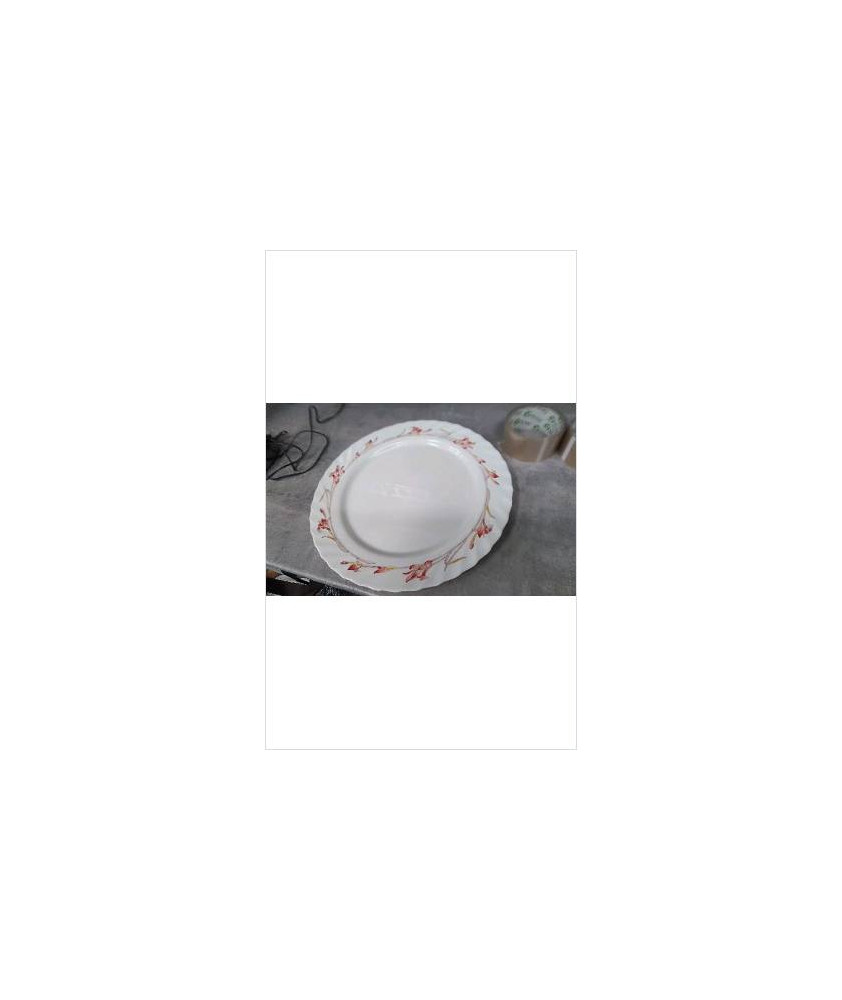 PLAT ROND ARCOPAL 