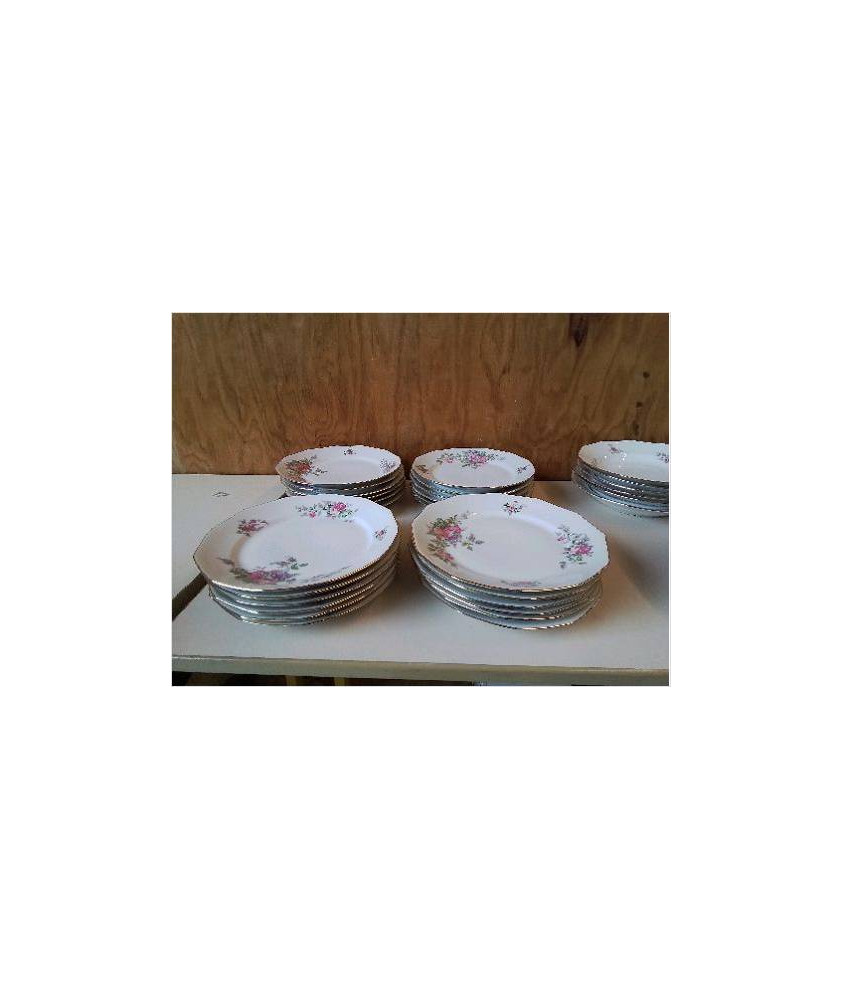 LOT DE 6 ASSIETTES PLATES EN PORCELAINE MOTIF FLORAL 