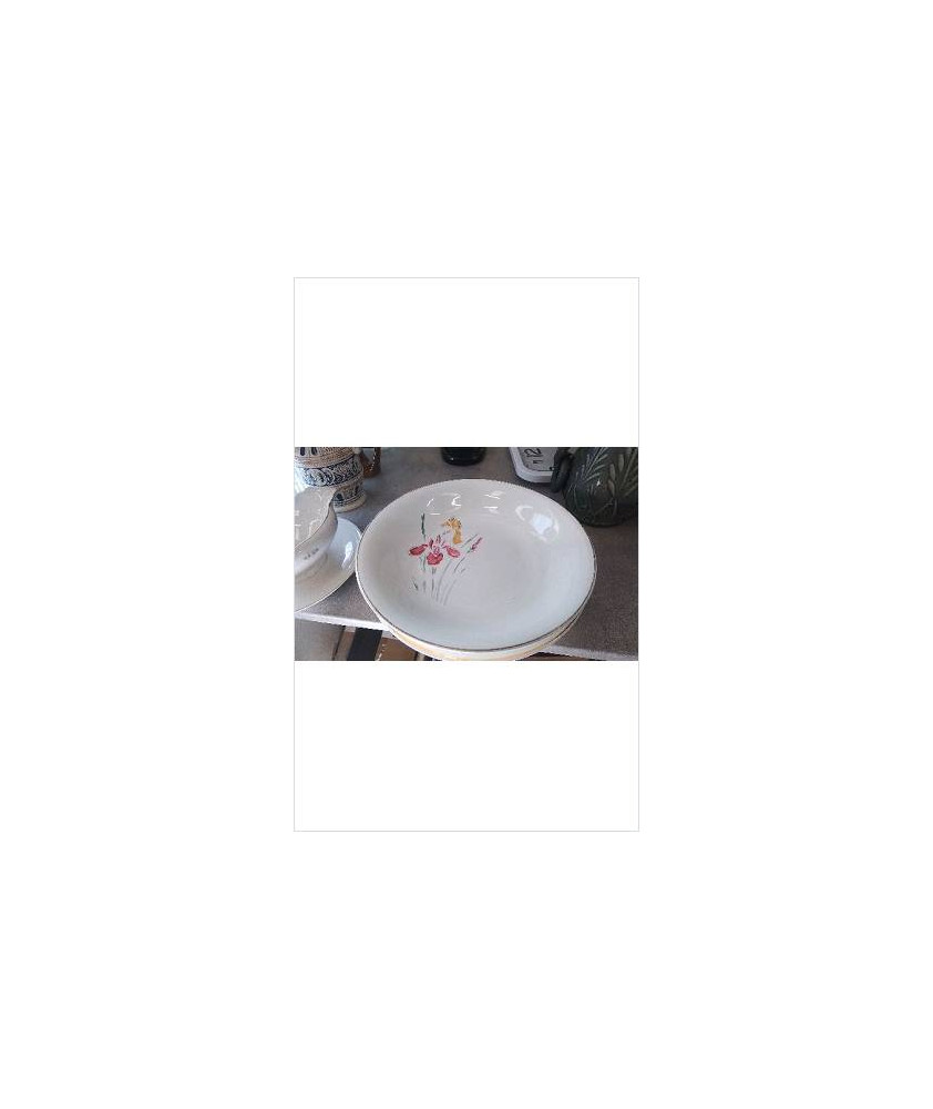 PLAT SARREGUEMINES LE LOT