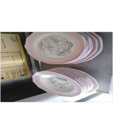 ASSIETTE CYGNE LE LOT  - EN L’ETAT