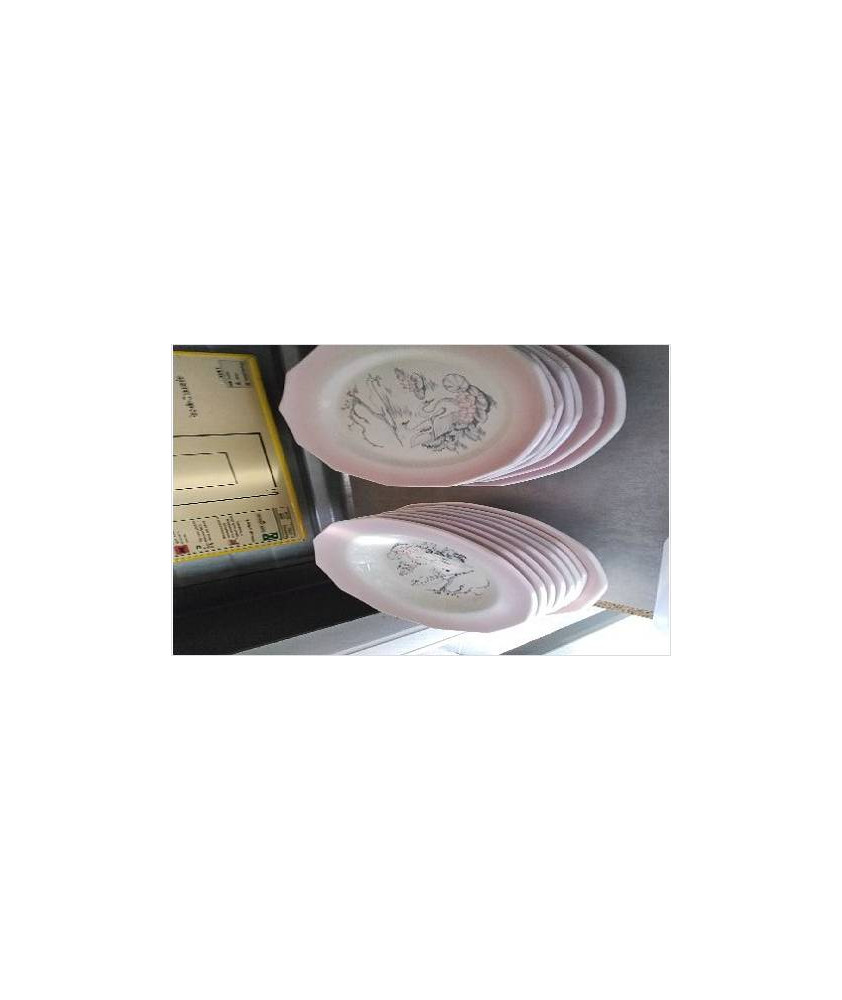 ASSIETTE CYGNE LE LOT  - EN L’ETAT