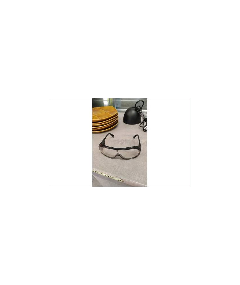 LUNETTE PROTECTION 
