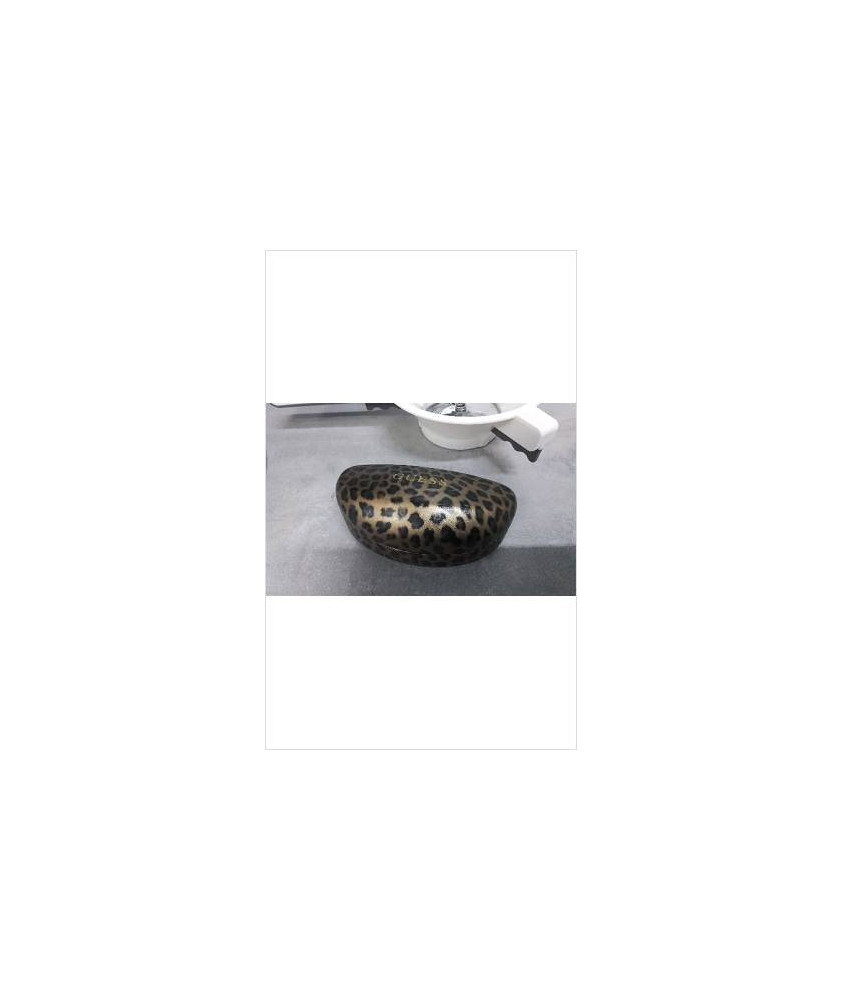 ETUI A LUNETTES GUESS 