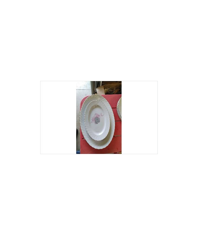PLAT OVALE LE LOT
