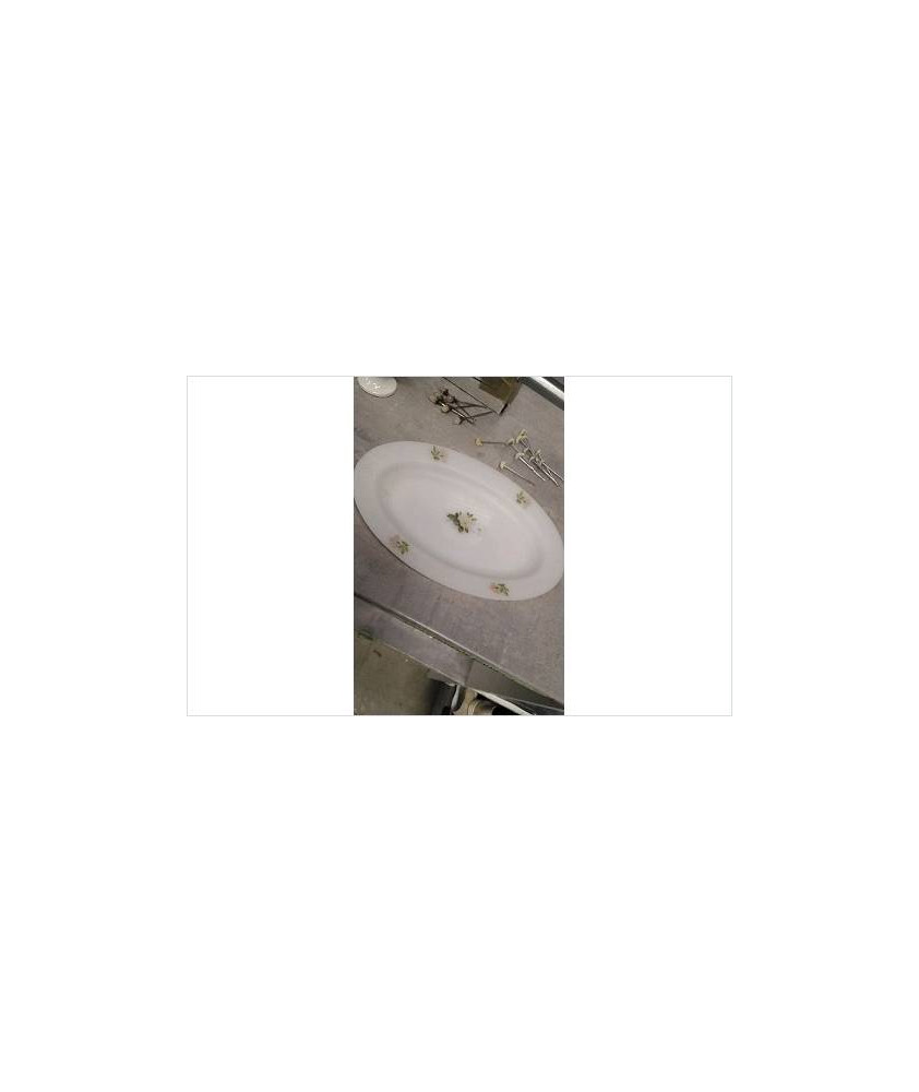 PLAT OVALE ARCOPAL