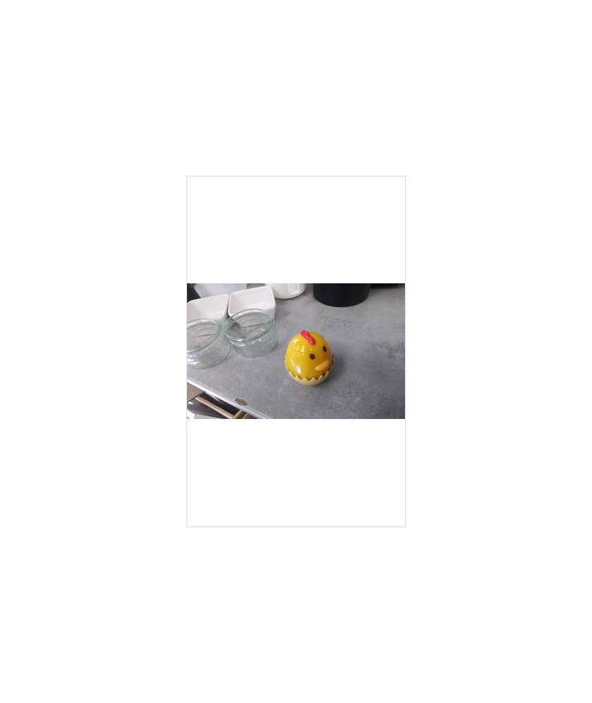 MINUTEUR POUSSIN 