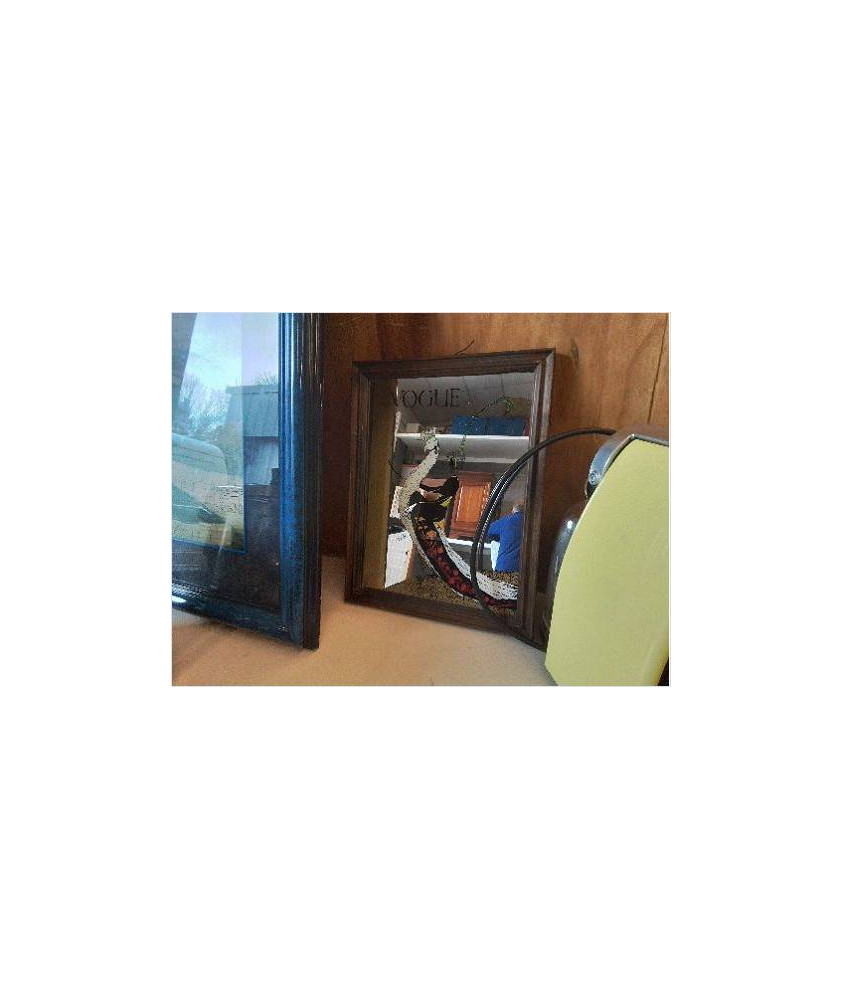 CADRE MIROIR VOGUE 